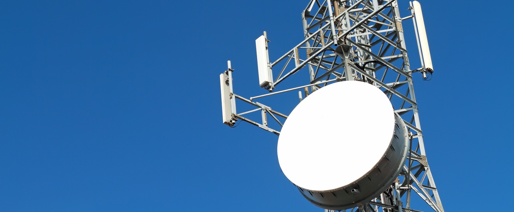 Paradise Telecom