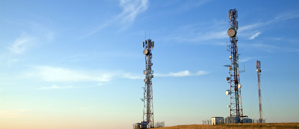 Paradise Telecom